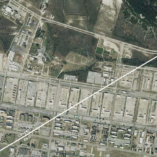 Deceased cat blocking roadway in Fort Hood