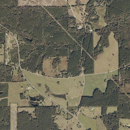87-year-old man falls with minor bleeding in Tylertown