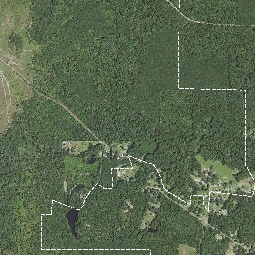 Search for lost and dehydrated runner on trail