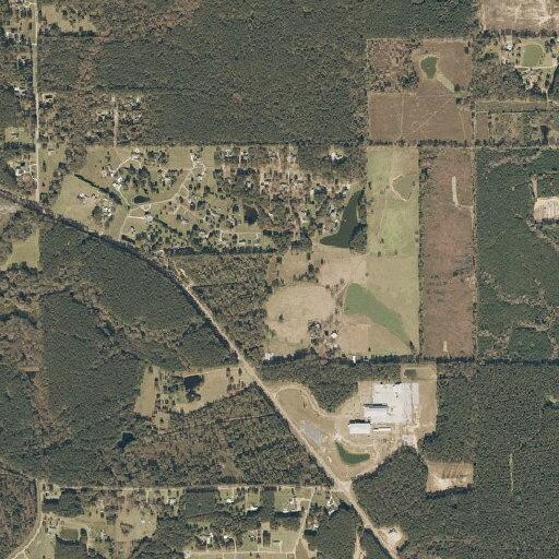Loose cow reported near Highway 98 east
