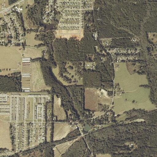 Traffic stop on Highway 84 East at County Road 445