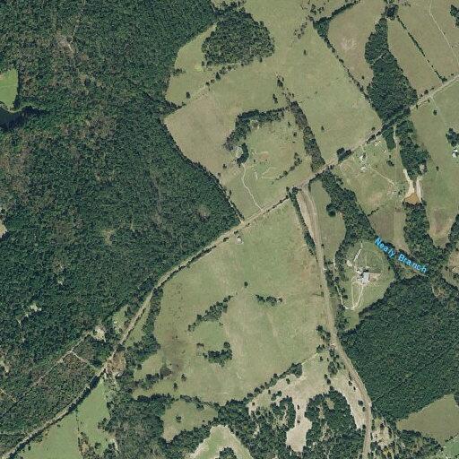 Loose bulls and cattle reported on FM 229