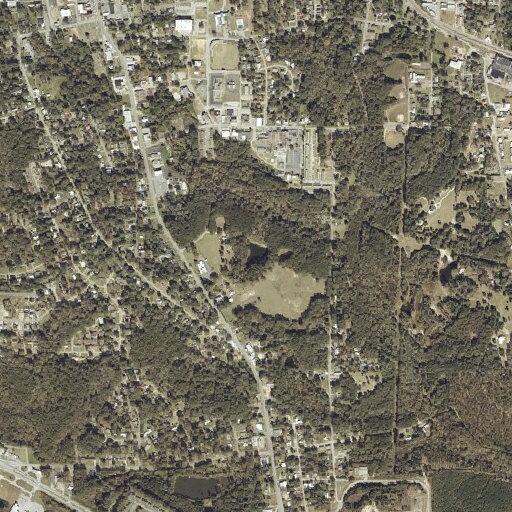 Person wearing mask reported on Moss Road