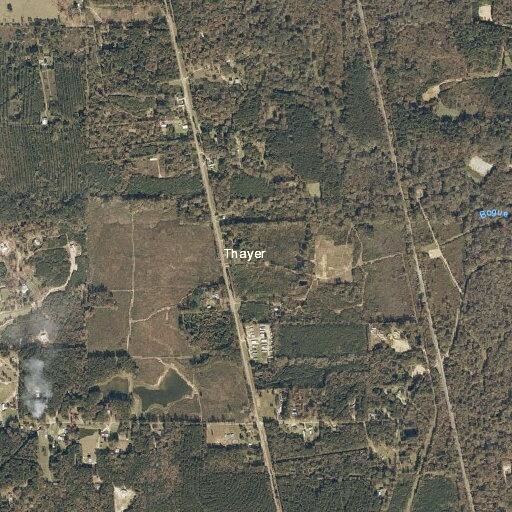 Logs reported stolen from property in Bogue Chitto