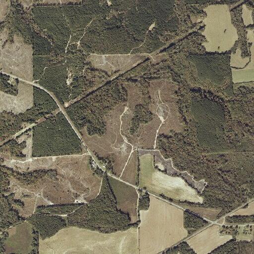Report of missing person on Elba Highway