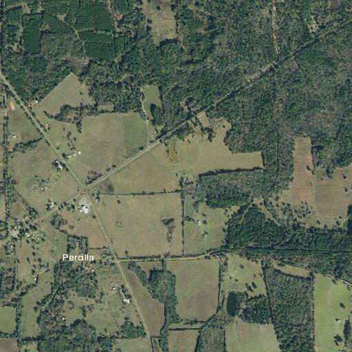 Search for missing person near FM 2022 North
