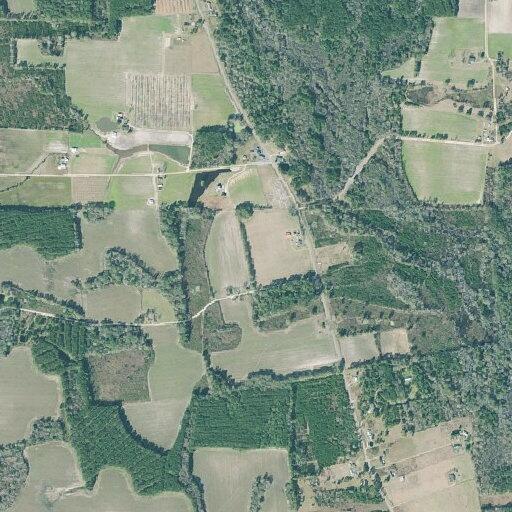 Car hits deer near GA 32 West and Wolf Pit Road