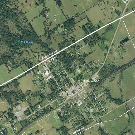 19-year-old female having a seizure in Oakwood