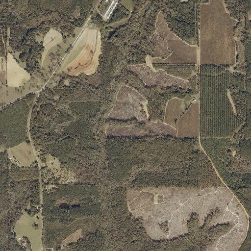 Car racing reported near County Road 69 in Skipperville