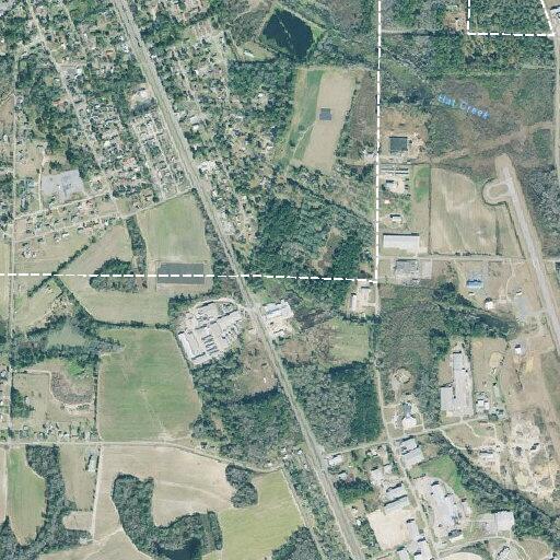 97-year-old female with head injury after fall