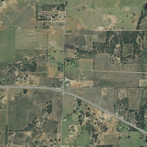 Loose livestock reported near County Road (number withheld) on Highway 16