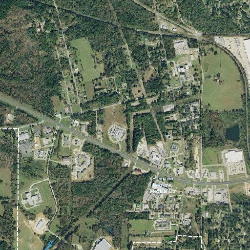 Person with hemorrhage at apartment in Palestine TX