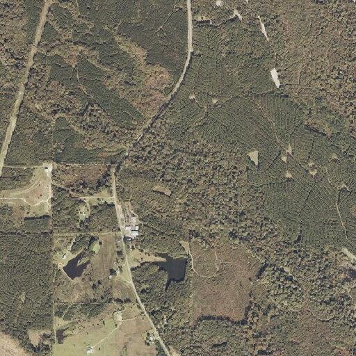 78-year-old female disoriented at home in Greenville