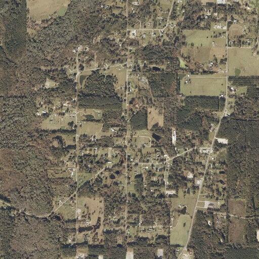Elderly woman weak and immobile near Trace Road