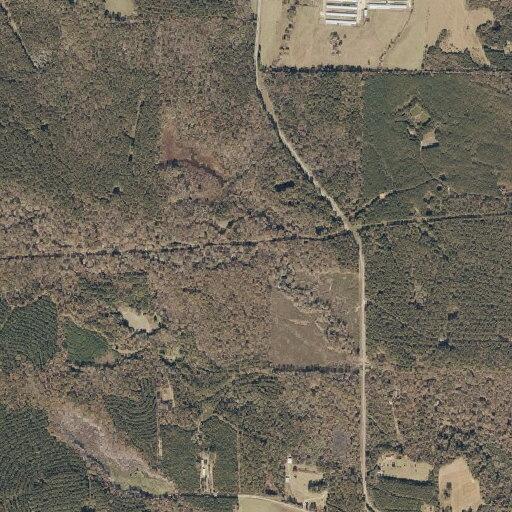 Tree blocking road on County Road 627