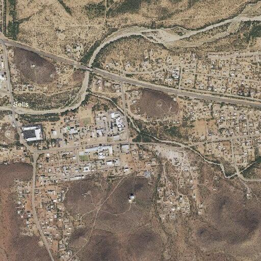 Desert animal relocation on South Eagle Avenue