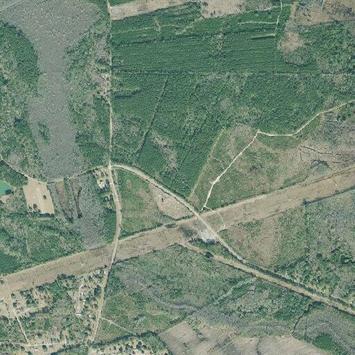 Person seen running in tree line near home