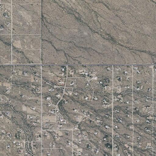 Desert animal relocation at Petrified Forest Drive