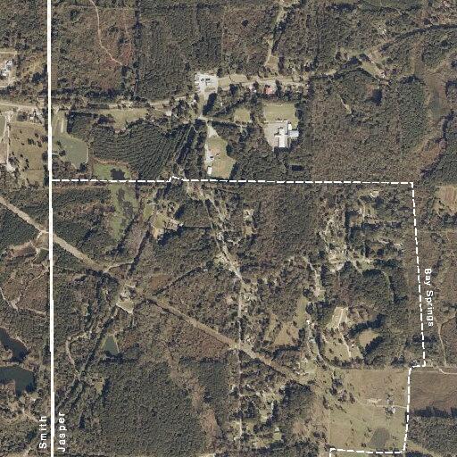 27-year-old male with stomach pain near Bay Springs