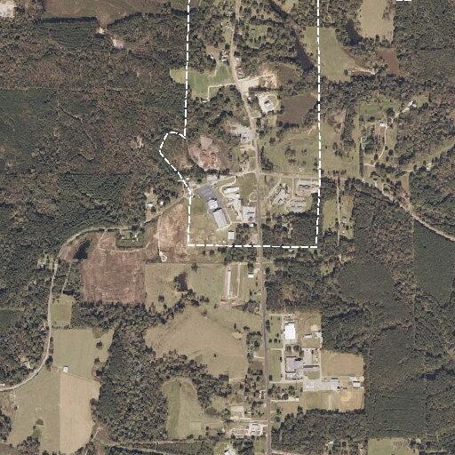 Loose cows reported near local high school