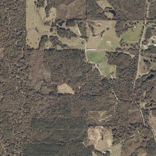 Male patient with gallbladder issues near Smith County