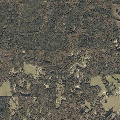 Woman with leg swelling near Florence reported multiple times