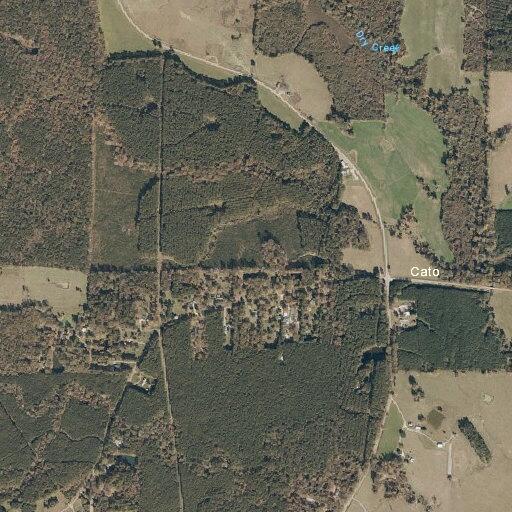 Female with urinary tract infection near Conerly Road