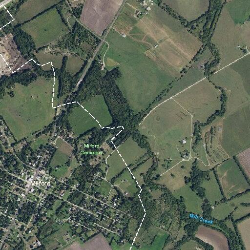Elderly woman with back injury welfare check in Milford
