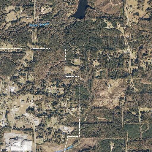 Dogs reported back near Harper Lane in Stonewall