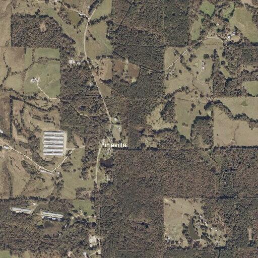 Elderly woman falls and may have broken hip in Forest