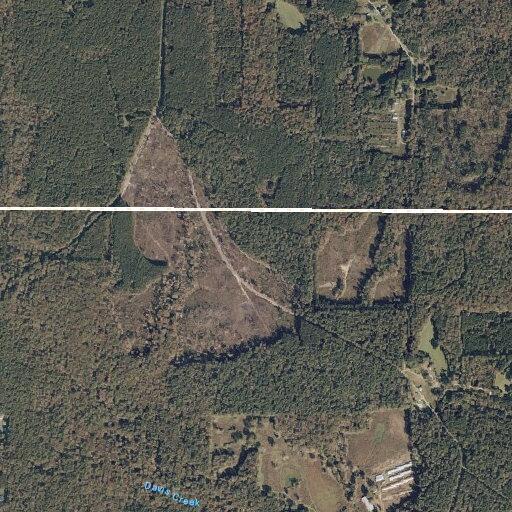 Tree blocks roadway at Highway 541 and SCR 133