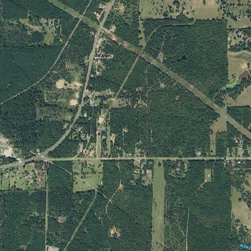 Dementia patient found unresponsive on roadway in Overton