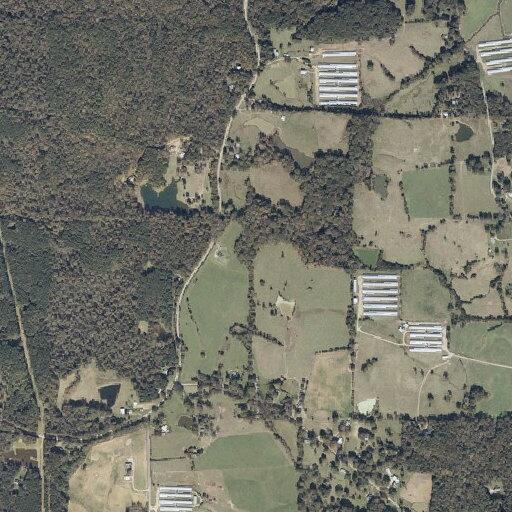 Man falls and injures arm near Walters Road in Pelahatchie