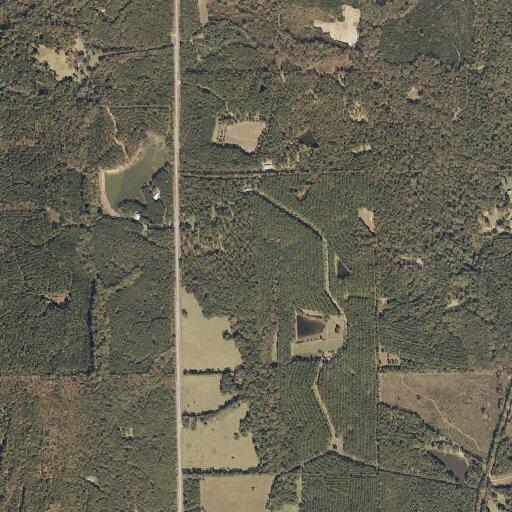 Person screaming near Highway 51 in Hurtsboro