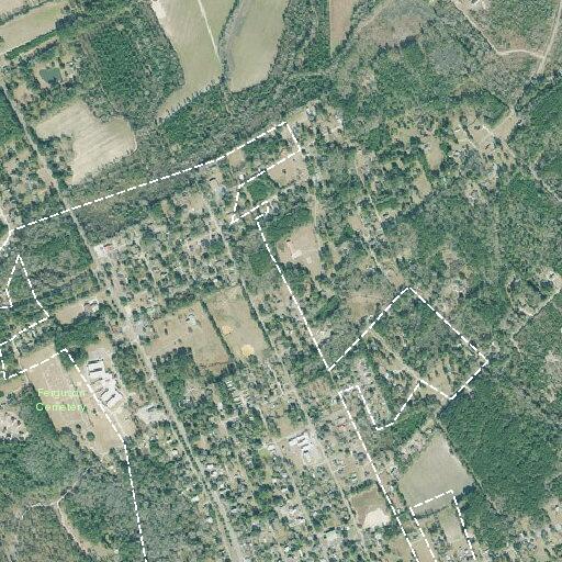 Woman with chest pain near Hines Avenue in Guyton