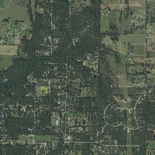 Trespassers hunting on private property in Scurry