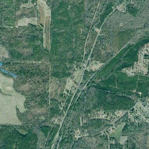 Male found disoriented near Highway 49 in Fort Valley