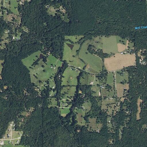 Tree blocking County Road 4125 near FM 2710