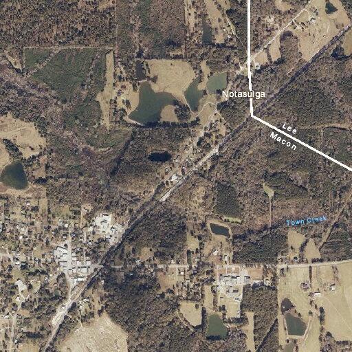 Juveniles riding four-wheeler on Bridges Street