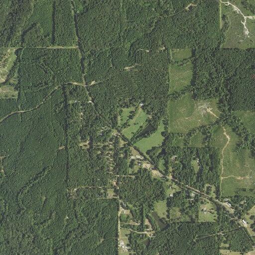 Diabetic patient with swollen foot near Tidwell Road in Downsville