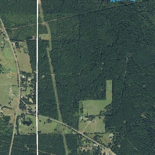 41-year-old man struck in head by tree limb