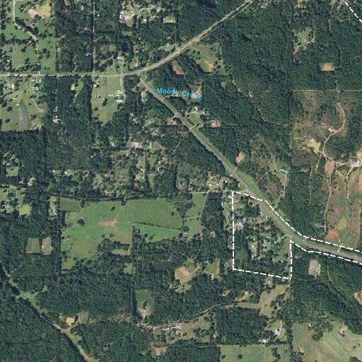 Male having seizure near Pheasant Road in Gladewater