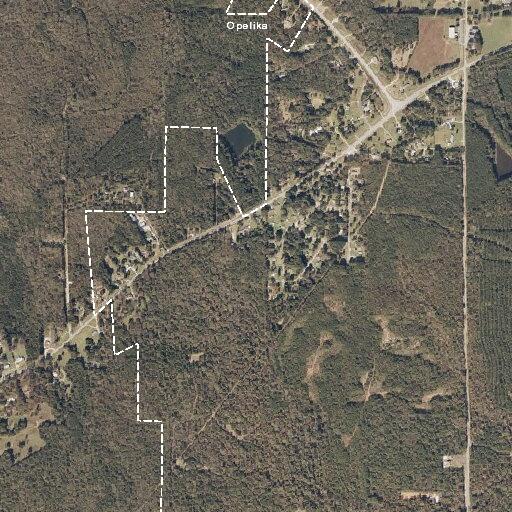 Fire alarm near Lee Road in Opelika canceled