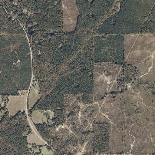 Elderly male fallen near Highway 17