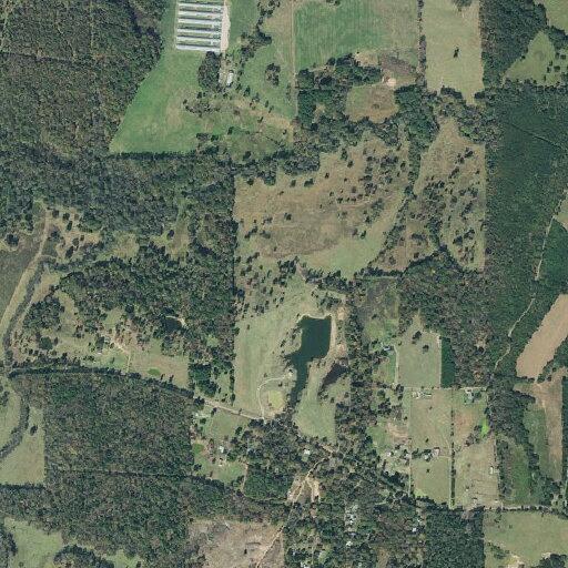 Unresponsive breathing woman found at FM 852 Gilmer TX