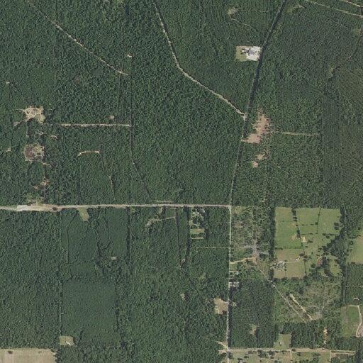 Female suffers diabetic emergency in Plain Dealing