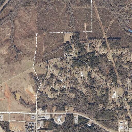 81-year-old female falls and sustains possible head injury