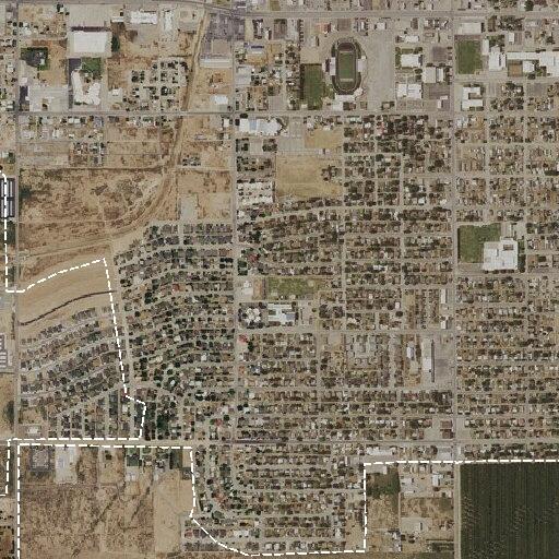 Loose cats reported near South 15th Street