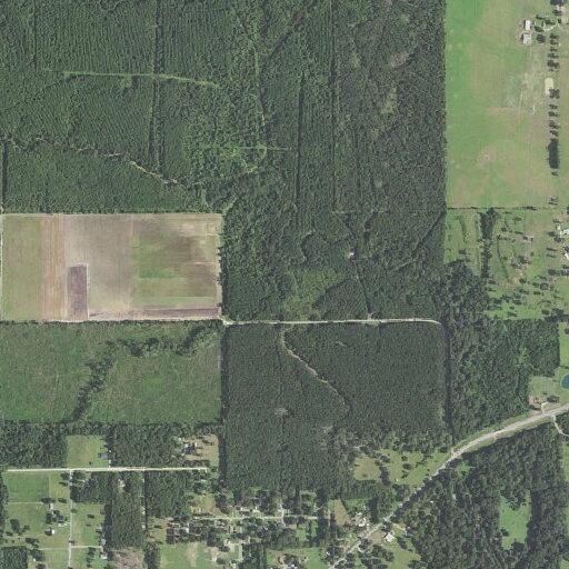 Person experiencing severe allergic reaction in Bastrop