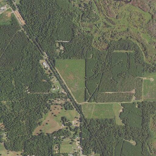 Tree blocking part of northbound lane on Highway 1